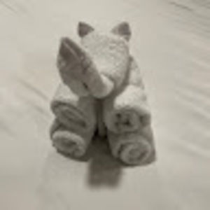 Meet your Posher, Sonya